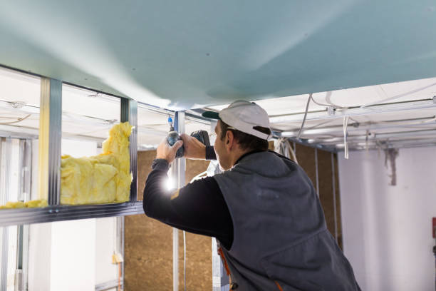 Best Insulation Maintenance and Repair in Ronan, MT